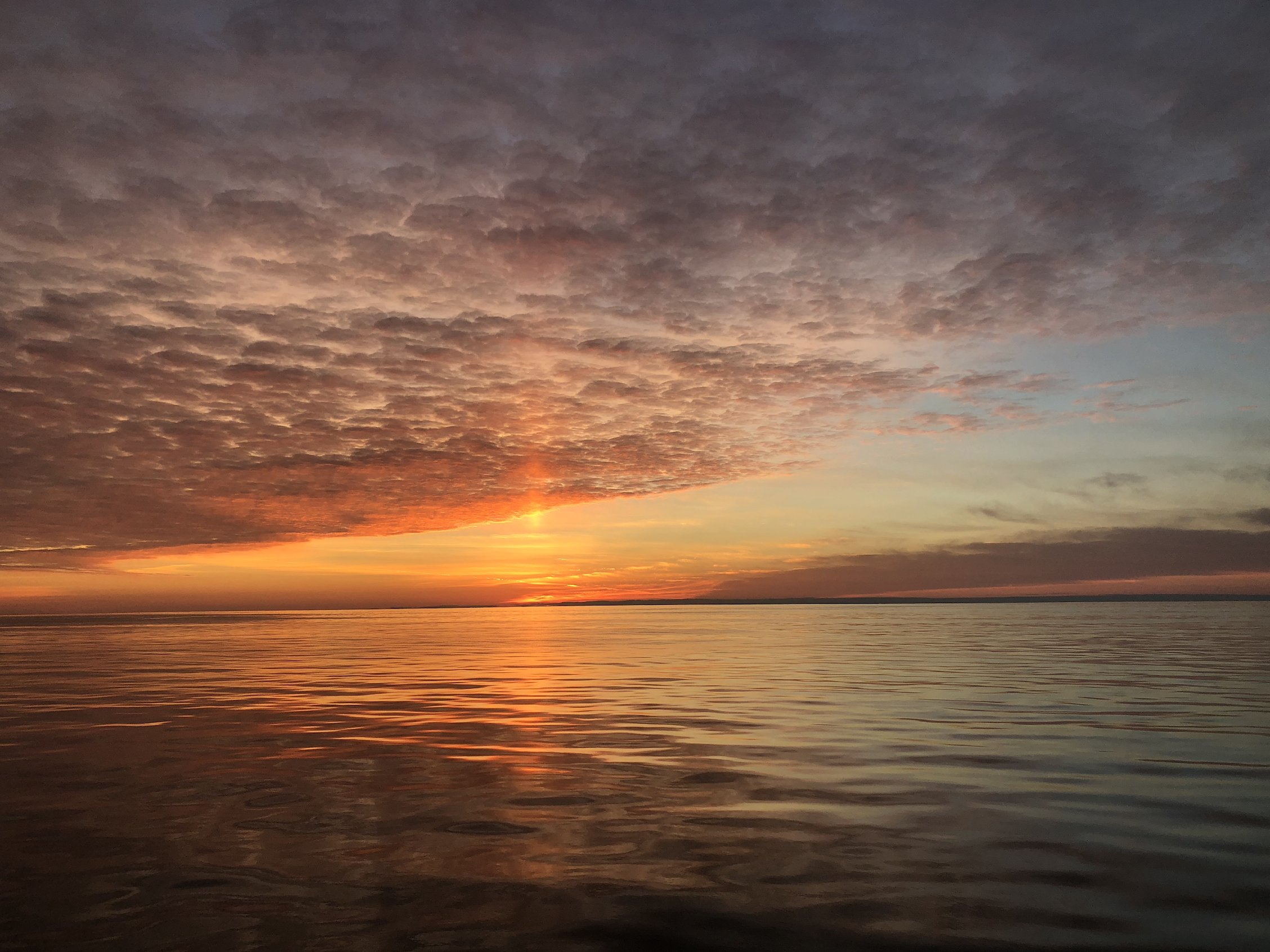 Screen Shot 2018-12-07 at 9.37.20 PM